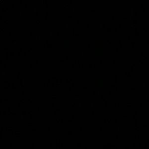 Meet your Posher, Juljulie